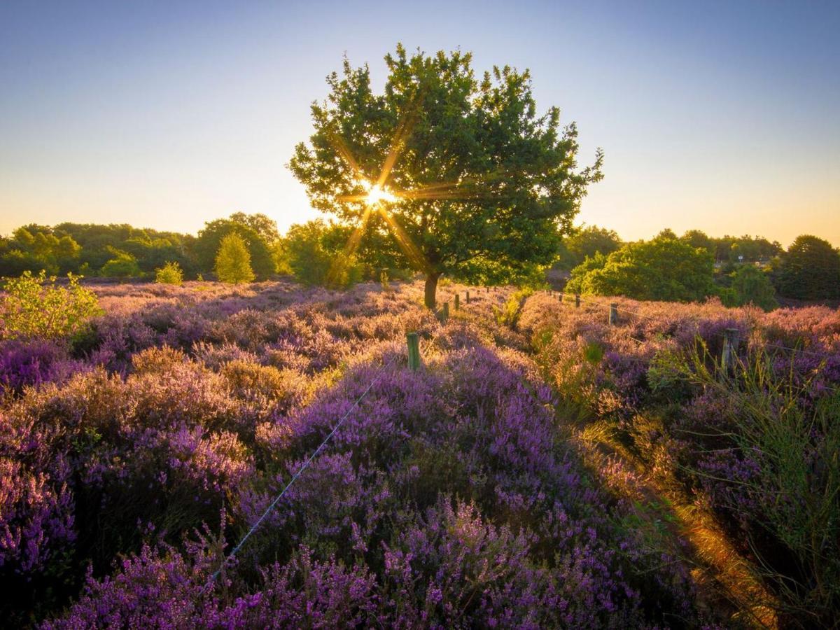 מלון האוזן Landal Gooise Heide מראה חיצוני תמונה